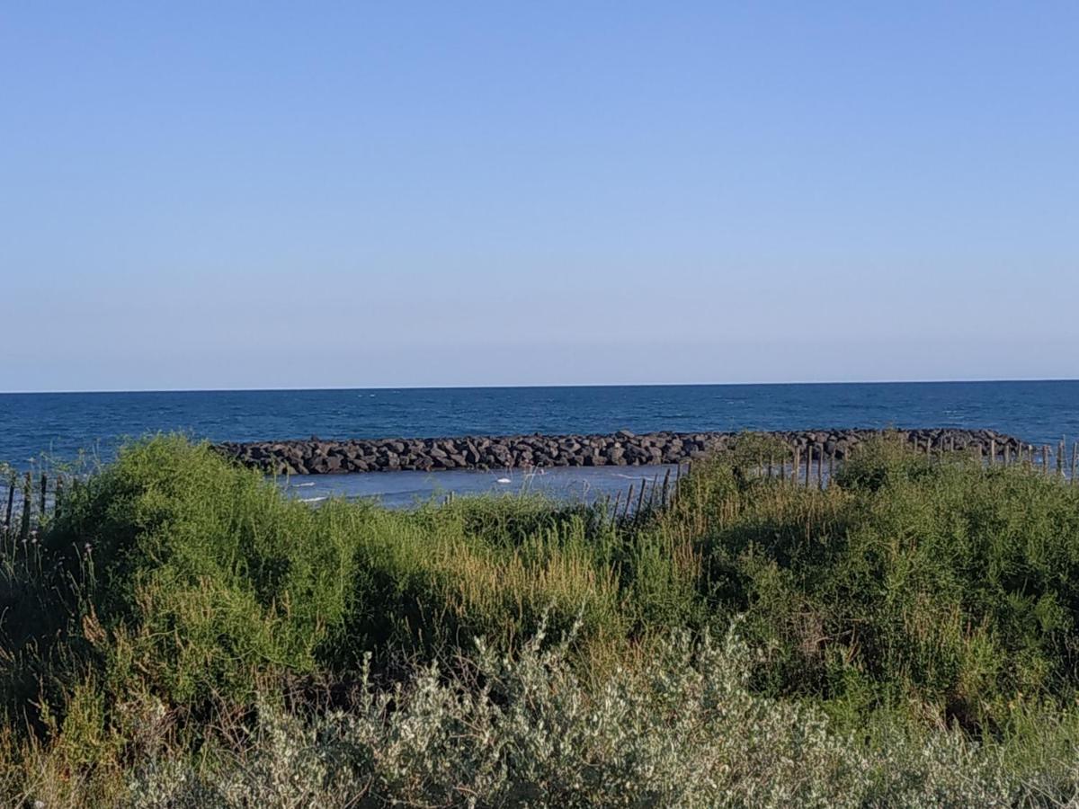 Appartement, Vue Sur Mer, Acces Direct Plage, Piscine Vias Buitenkant foto